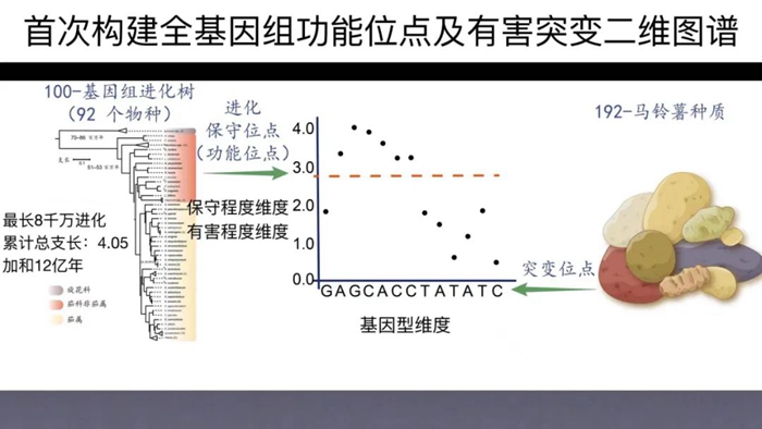 细胞.jpg